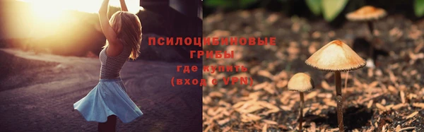 альфа пвп Гусь-Хрустальный