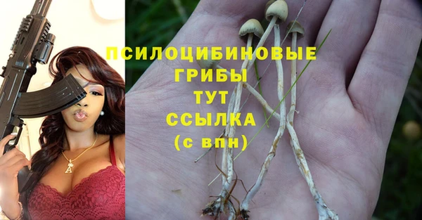 альфа пвп Гусь-Хрустальный